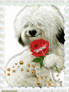 Валентинка собачки с цветком для телефона
