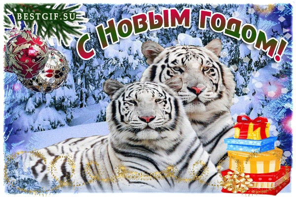 Открытка С Новым годом тигра !