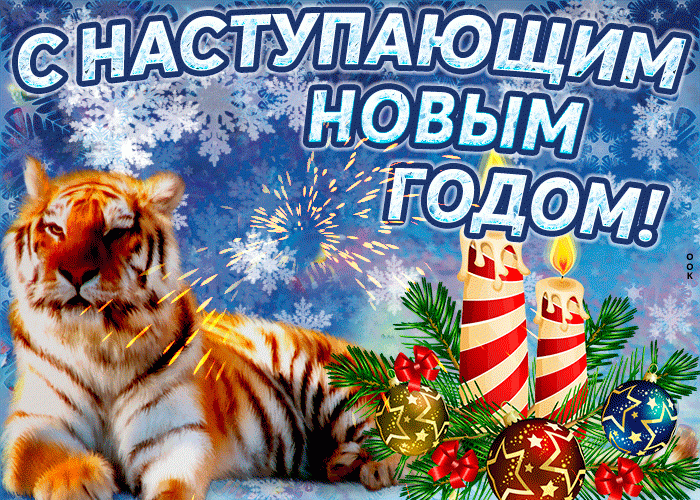 С Наступающим новым годом тигра !