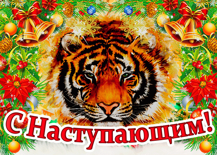 С Наступающим Вас Новым годом тигра !