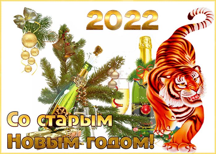 Со Старым новым 2022 годом тигра !